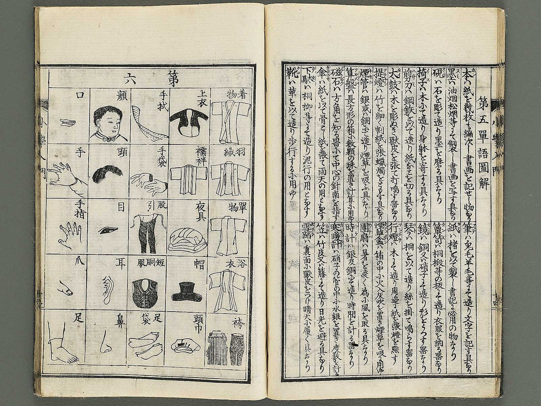 Shogaku nyumon / BJ347-907