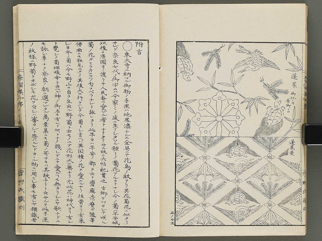 Narumikata Volume 5 by Odagiri Shunko / BJ322-546