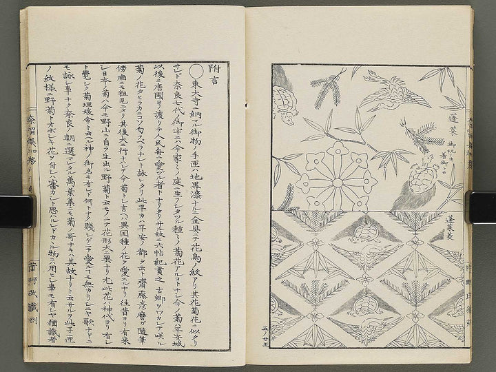 Narumikata Volume 5 by Odagiri Shunko / BJ322-546