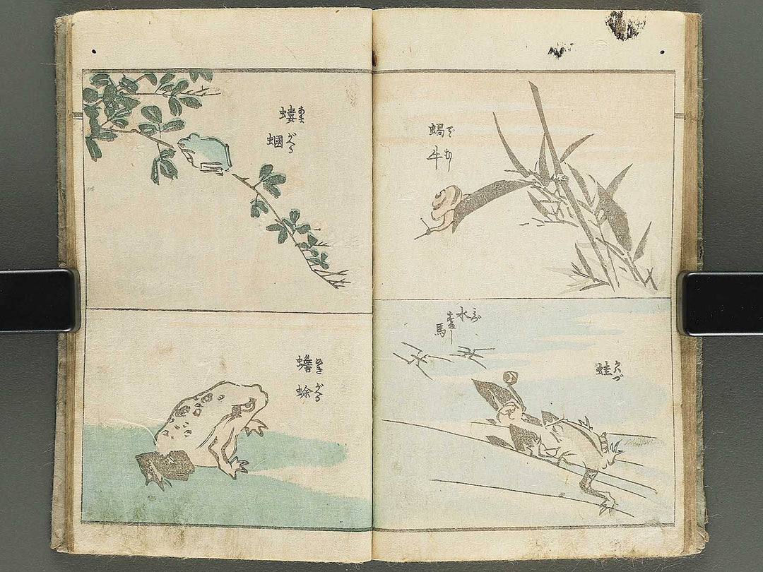 Yanagawa gafu (Jinbutsu sakana mushi) by Yanagawa Shigenobu / BJ348-033
