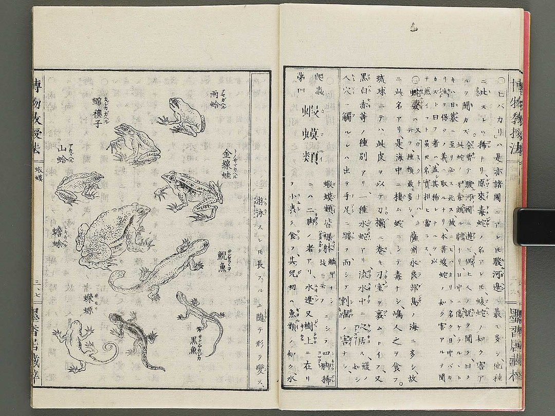 Hakubutsu kyojyuho Volume 3 / BJ341-586