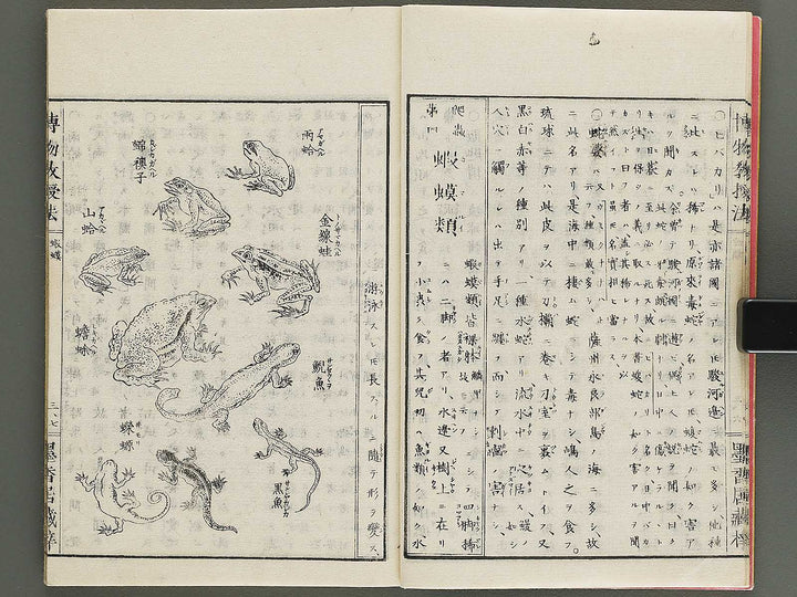 Hakubutsu kyojyuho Volume 3 / BJ341-586