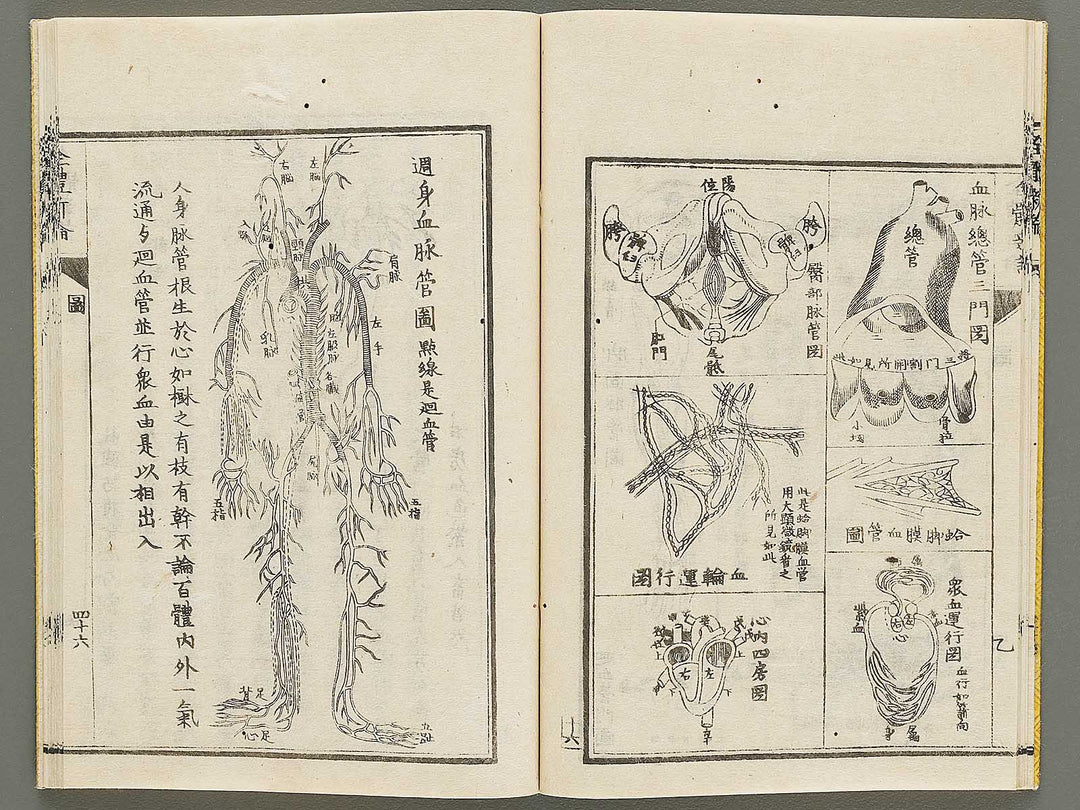 Zentai shinron Kon (Part 2 of 2) / BJ325-353