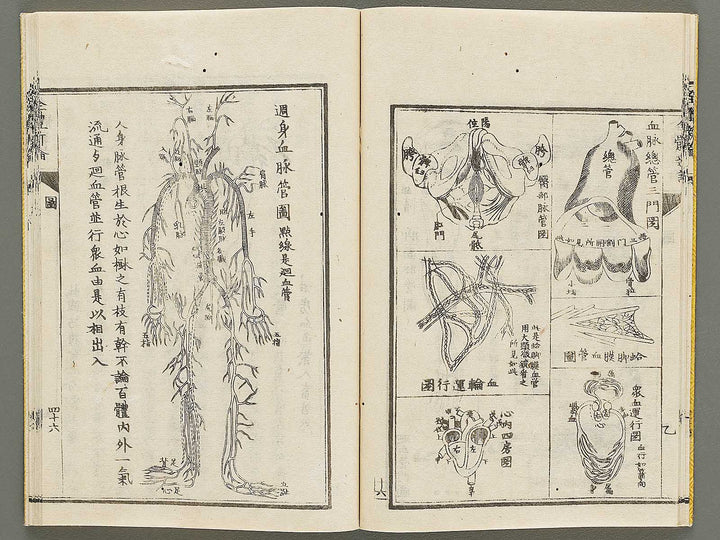 Zentai shinron Kon (Part 2 of 2) / BJ325-353