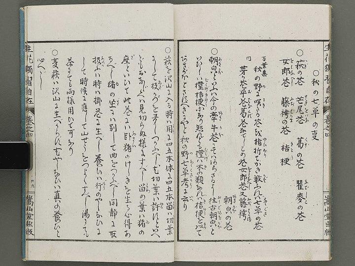 Shoryu hiden ikebana dokushu jizai Volume 4 / BJ332-759