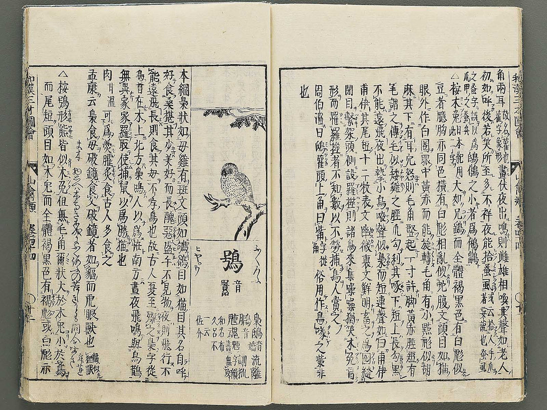 Wakan sansai zue Volume 44 / BJ349-216
