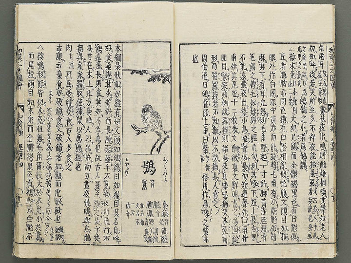 Wakan sansai zue Volume 44 / BJ349-216