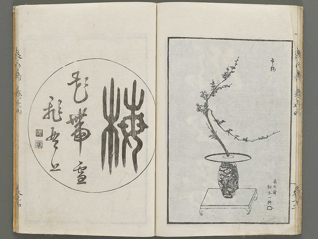 Soka koromonoka Volume 4 by Hishikawa Sori / BJ335-188