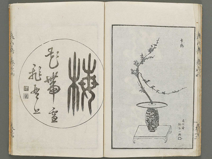 Soka koromonoka Volume 4 by Hishikawa Sori / BJ335-188