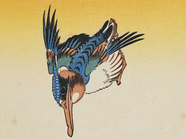Hydrangea glue cicada by Utagawa Hiroshige, (Medium print size) / BJ328-153