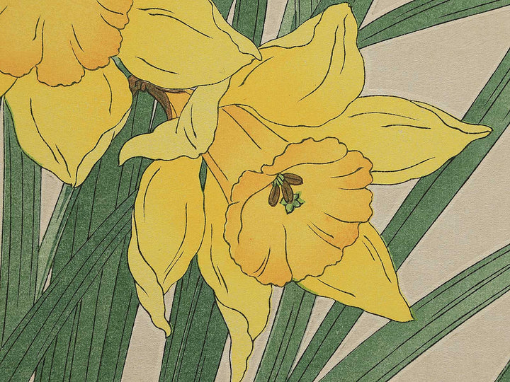 Rappa suisen by Kawarazaki Shodo, (Large print size) / BJ345-569