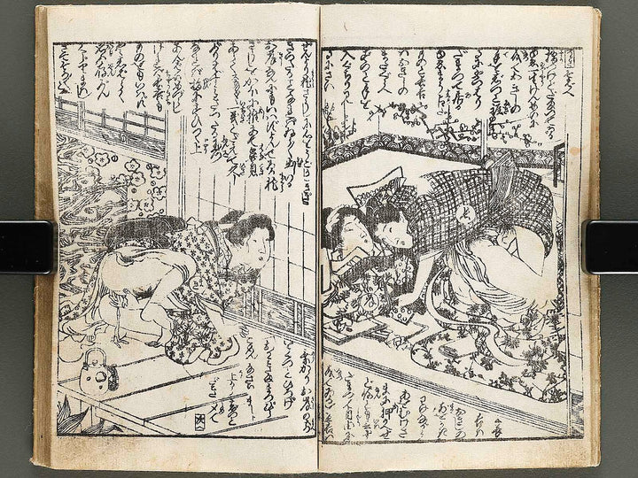 Chigusa no hana futatsu chocho / BJ326-802