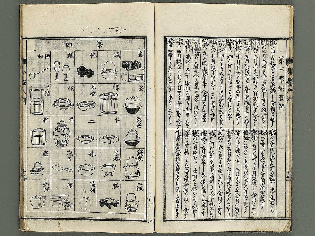 Shogaku nyumon / BJ347-907
