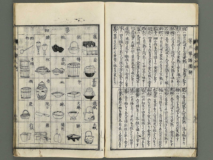 Shogaku nyumon / BJ347-907