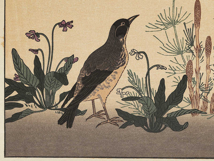 Quail and Skylark from the series Momotidori kyoka awase by Kitagawa Utamaro, (Large print size) / BJ306-887