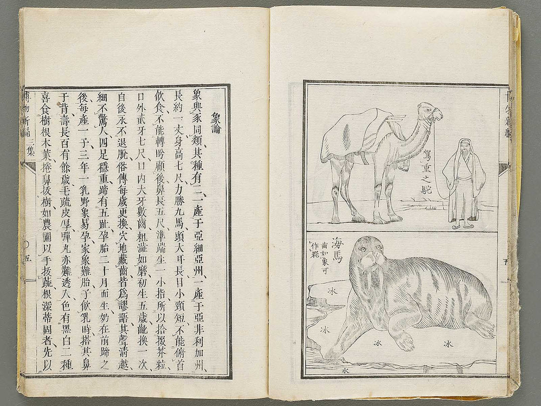 Hakubutsu Shinpen Volume 3 / BJ330-869