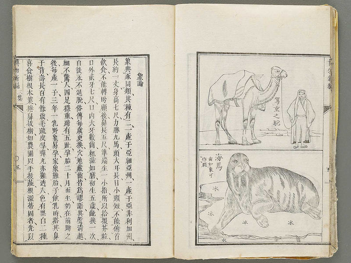 Hakubutsu Shinpen Volume 3 / BJ330-869