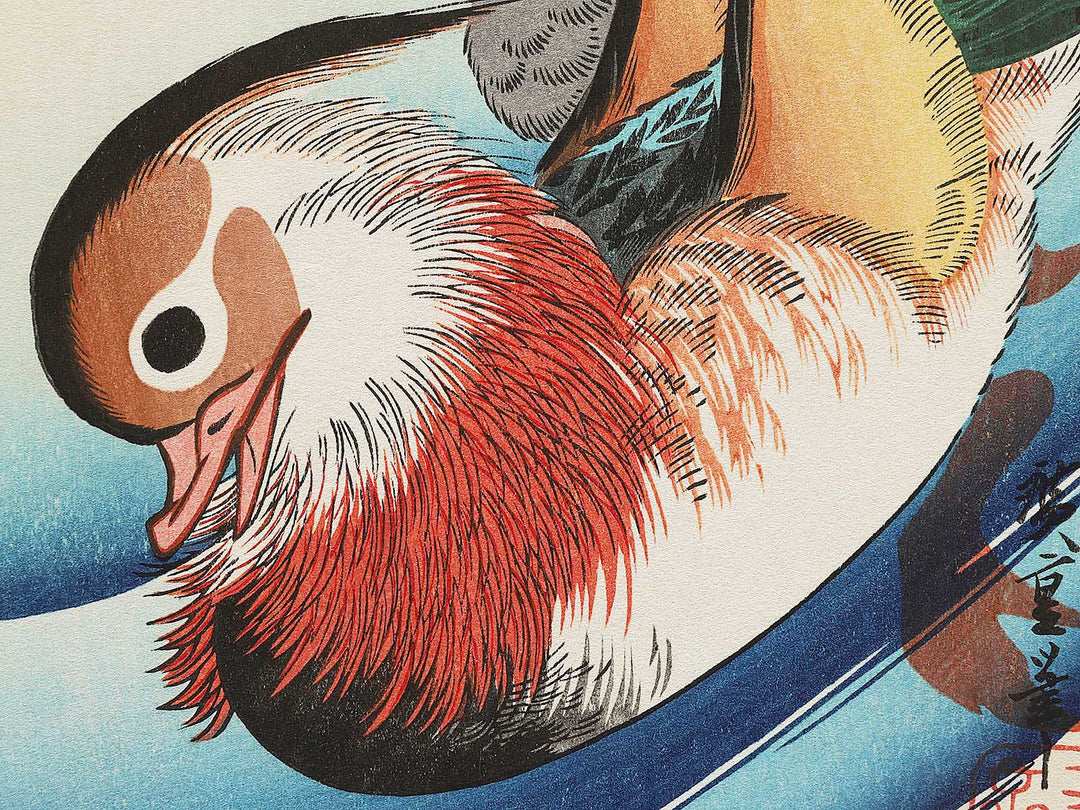 Mandarin duck  by Utagawa Hiroshige, (Medium print size) / BJ304-591