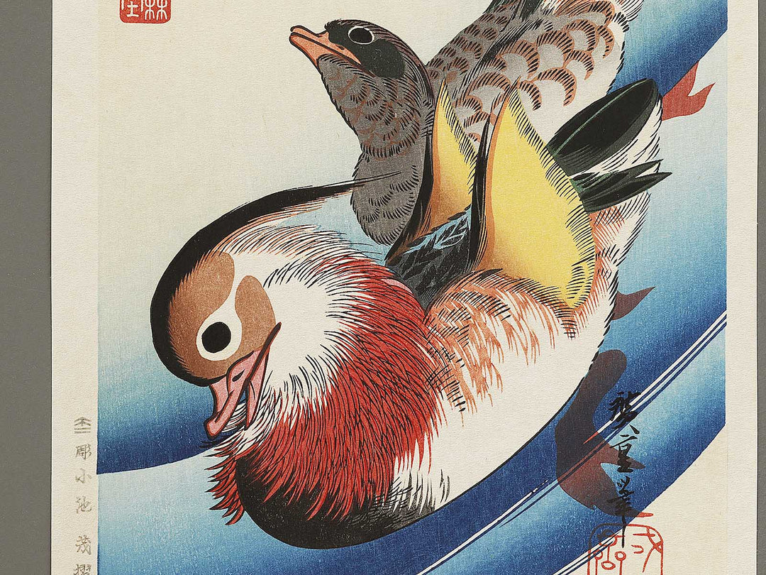 Mandarin duck  by Utagawa Hiroshige, (Medium print size) / BJ328-076