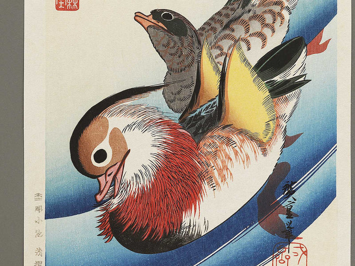 Mandarin duck  by Utagawa Hiroshige, (Medium print size) / BJ328-076