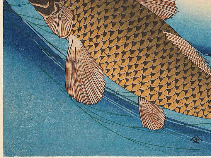 Japanese Carp from the series the series fish by Utagawa Hiroshige, (Large print size) / BJ322-819