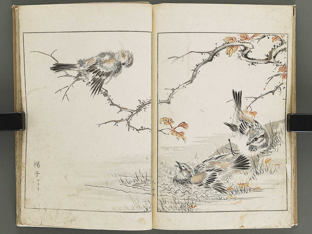 Shucho gafu (Jin) (Part 3 of 3) by Numata Kashu / BJ339-752