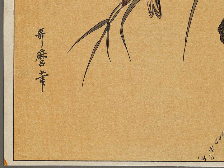 Duck and Kingfisher from the series Momotidori kyoka awase by Kitagawa Utamaro, (Large print size) / BJ328-349