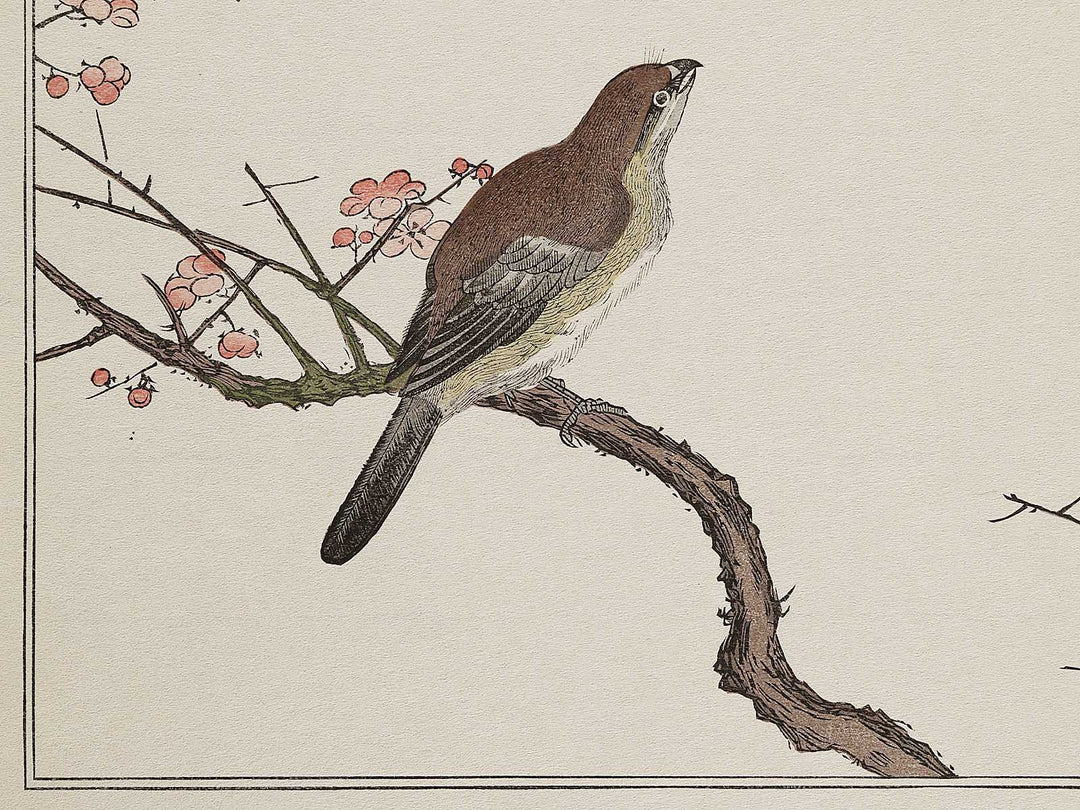 Hawk and Shrike from the series Momotidori kyoka awase by Kitagawa Utamaro, (Large print size) / BJ327-985