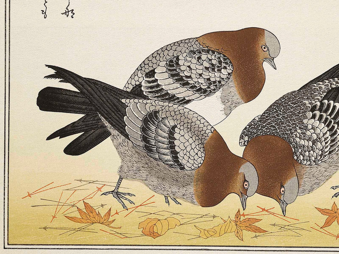 A flock of sparrows and Dove from the series Momochidori kyokaawase by Kitagawa Utamaro, (Large print size) / BJ328-055