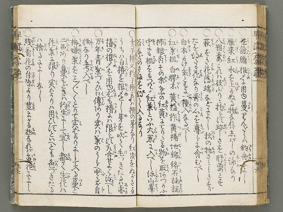 Ikebana hayamanabi / BJ331-275