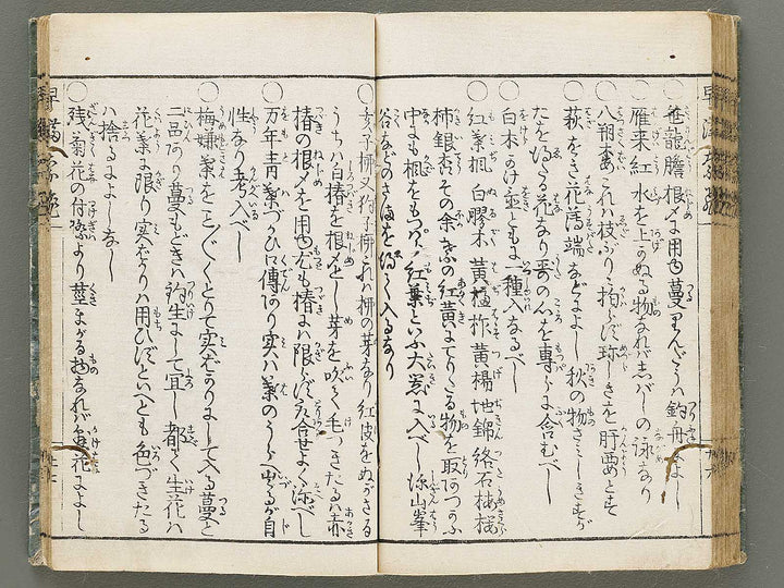 Ikebana hayamanabi / BJ331-275