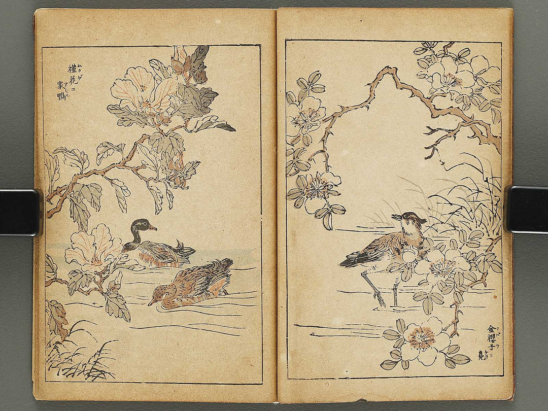 Kacho gafu by Adachi Ginko / BJ333-438