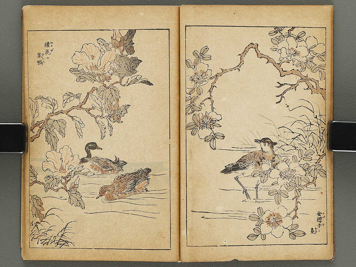 Kacho gafu by Adachi Ginko / BJ333-438