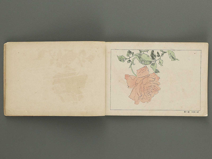 Koto shogaku enpitsu gacho / BJ349-356