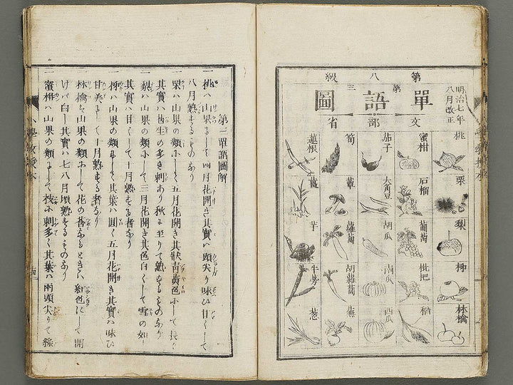 Shogaku kyojubon / BJ335-951