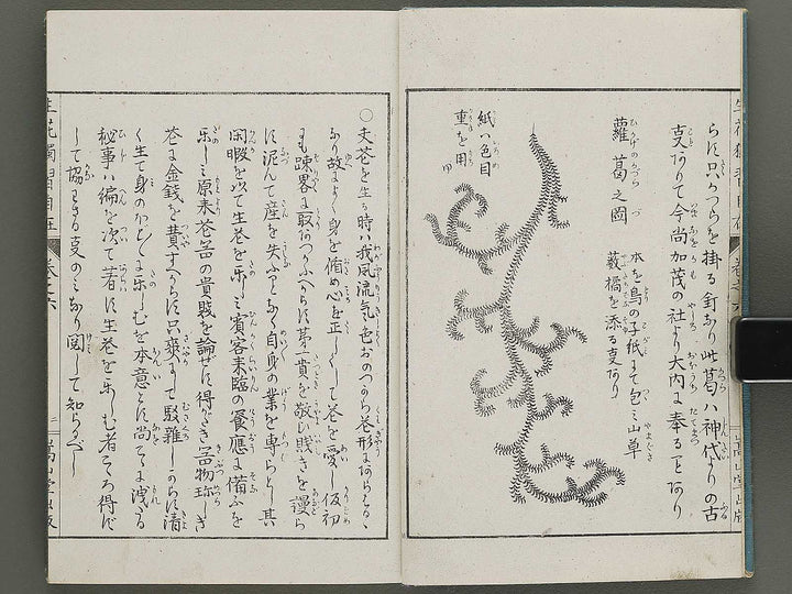 Shoryu hiden ikebana dokushu jizai Volume 6 / BJ332-766