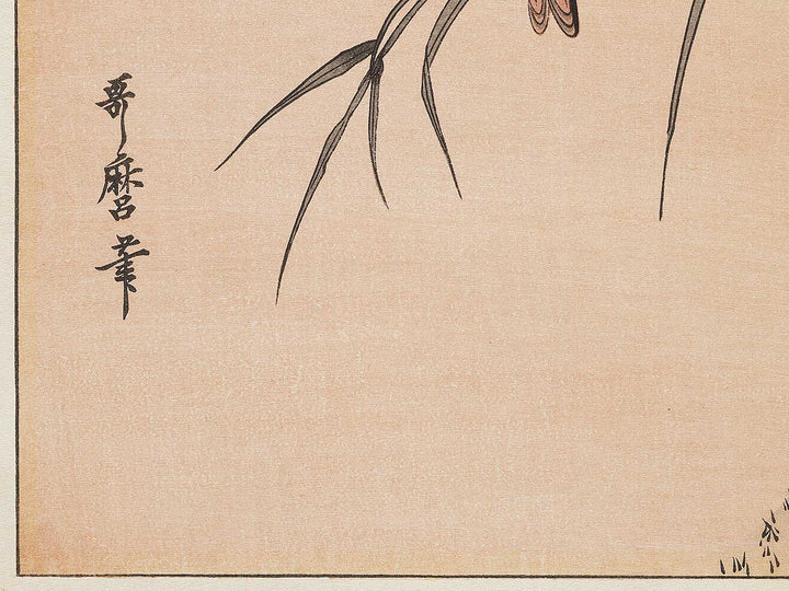 Duck and Kingfisher from the series Momotidori kyoka awase by Kitagawa Utamaro, (Large print size) / BJ331-667