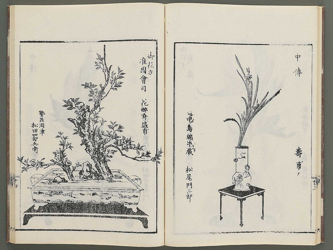 Naniwa no hana by Matsukawa Hanzan / BJ348-992