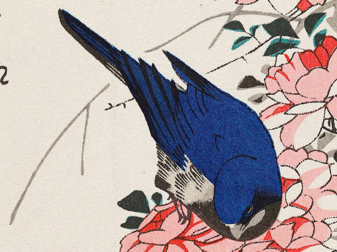 Bara to ruridori by Utagawa Hiroshige, (Small print size) / BJ327-054