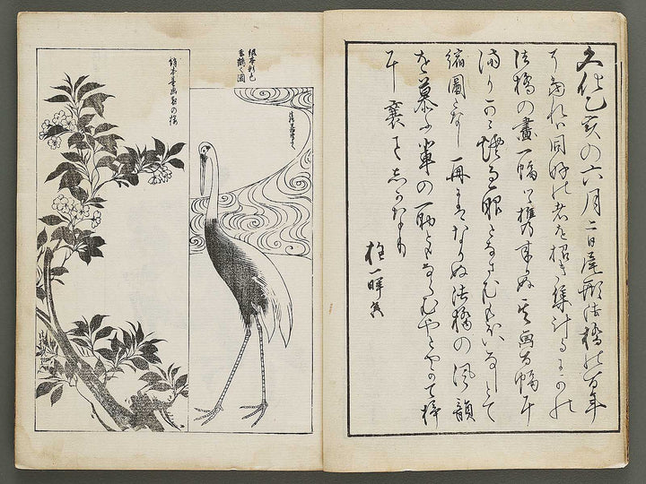 Korin hyakuzu (Jo) by Ogata Korin / BJ324-240