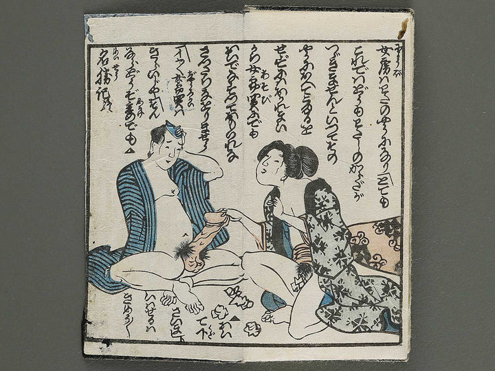 Edo meishoki / BJ339-423