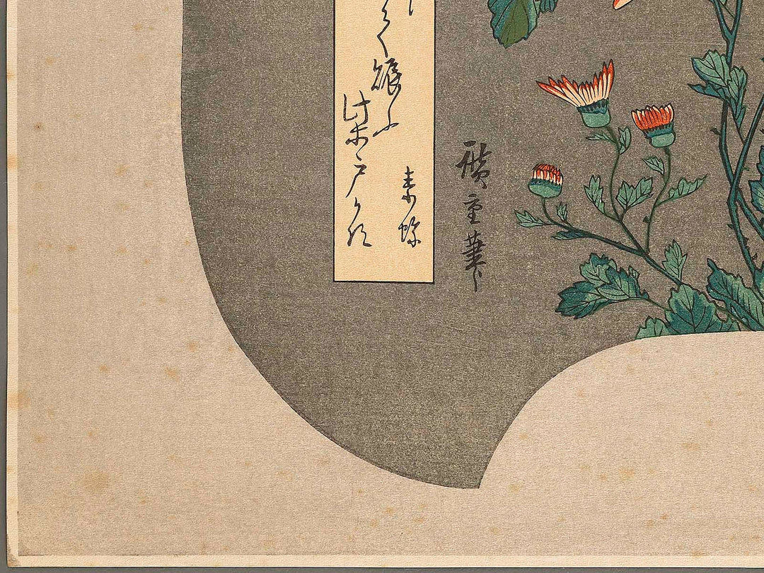 Kiku ni cho by Utagawa Hiroshige, (Large print size) / BJ323-281