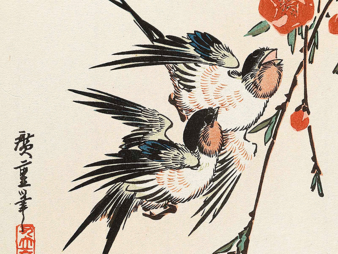 Moonlight night pink   swallow by Utagawa Hiroshige, (Medium print size) / BJ328-132
