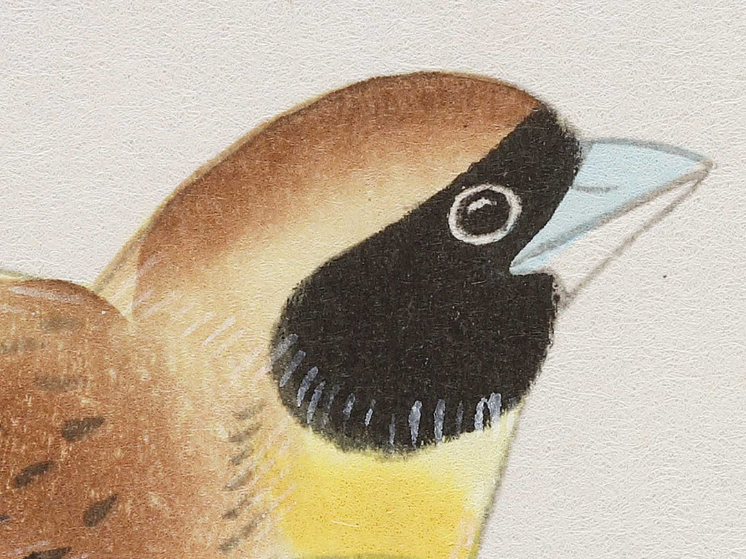 Budo ni shimaaoji by Ashikaga Shizuo, (Large print size) / BJ331-345