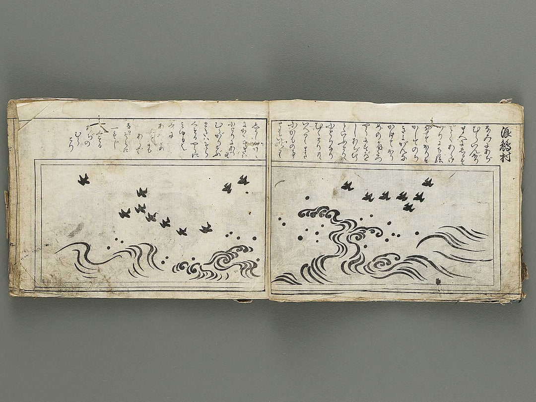 Ranma hinagata (Ge) / BJ336-056