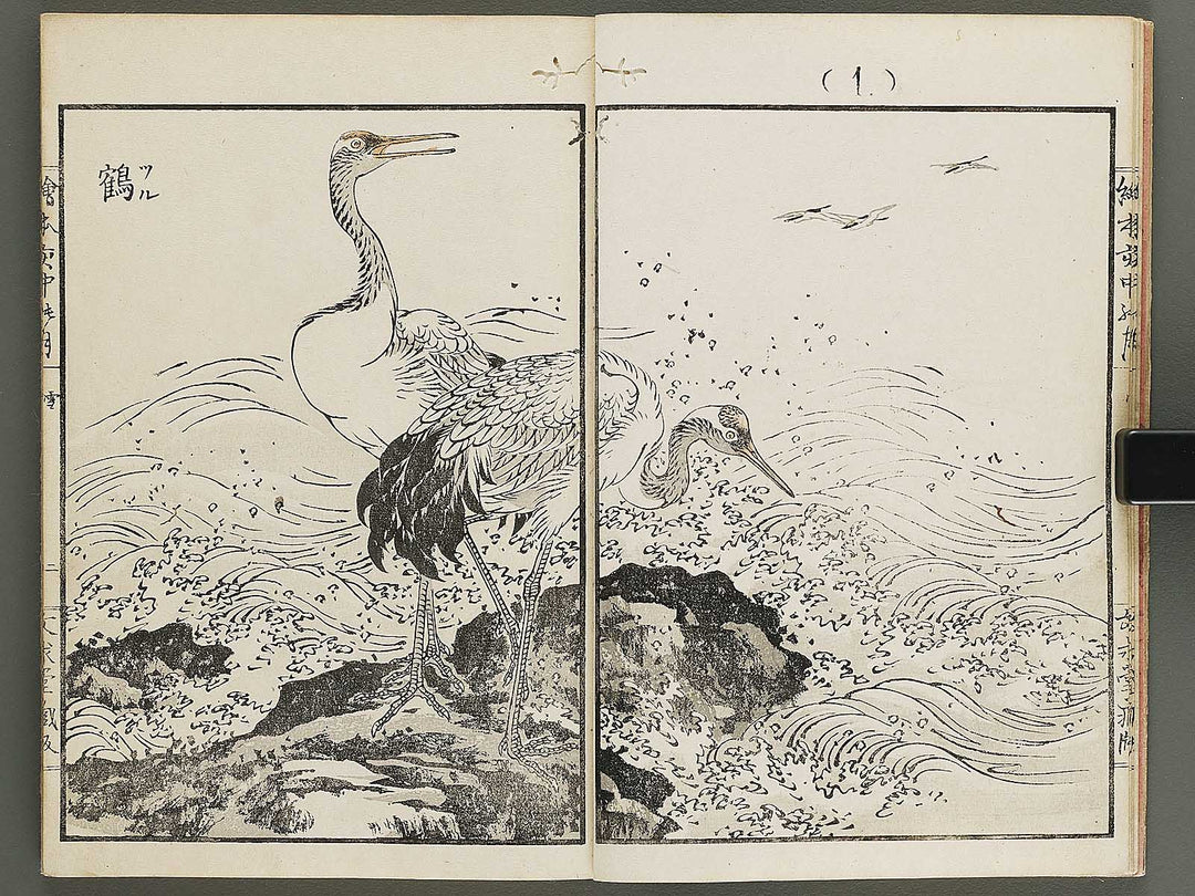 Ehon inaka no tsuki Setsu by Kono Bairei / BJ341-222