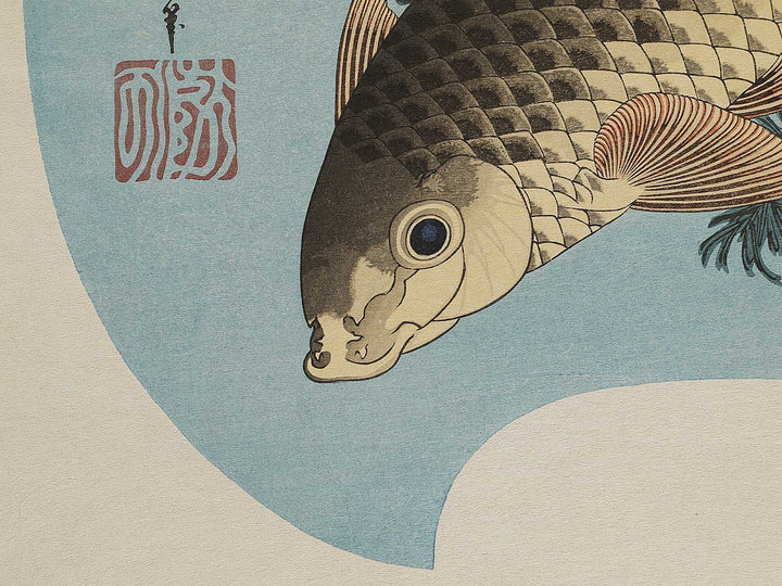 Koi by Katsushika Hokusai, (Large print size) / BJ337-603