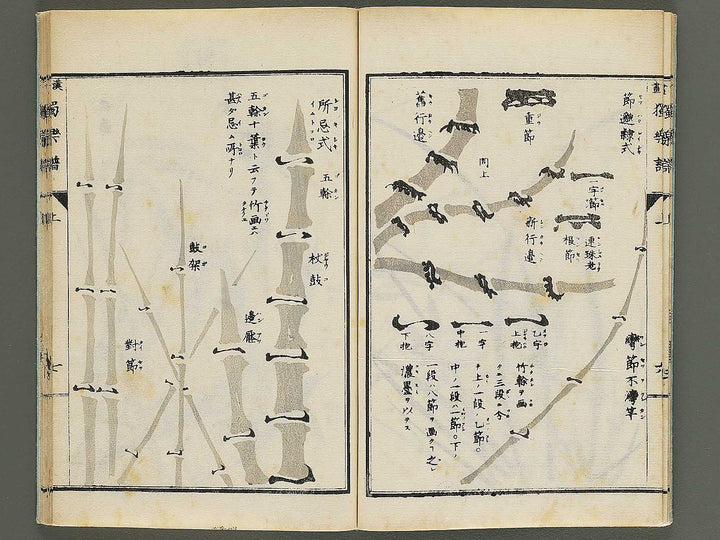 Kanga dokugakufu (Jo) by Matsuoka Masamori / BJ345-156