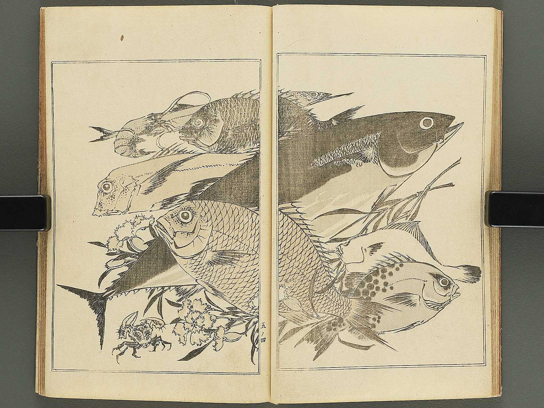 Kansai gafu  Volume 5 by Ichikawa Kansai / BJ345-086