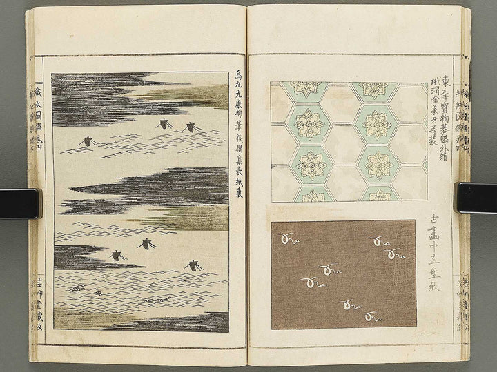 Shokumon zukan Volume 4 / BJ333-459